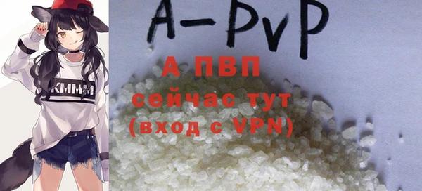 spice Арсеньев