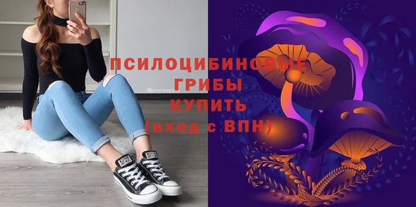 spice Арсеньев