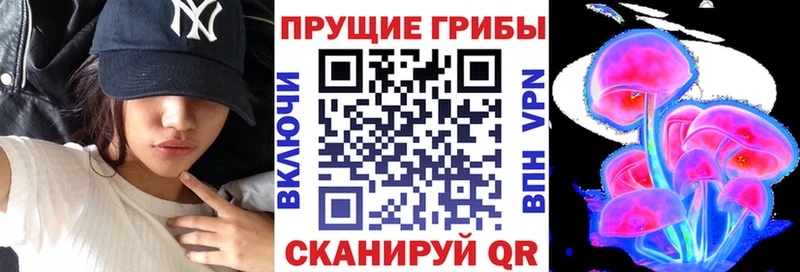 Псилоцибиновые грибы прущие грибы  Купить  Новая Ладога 